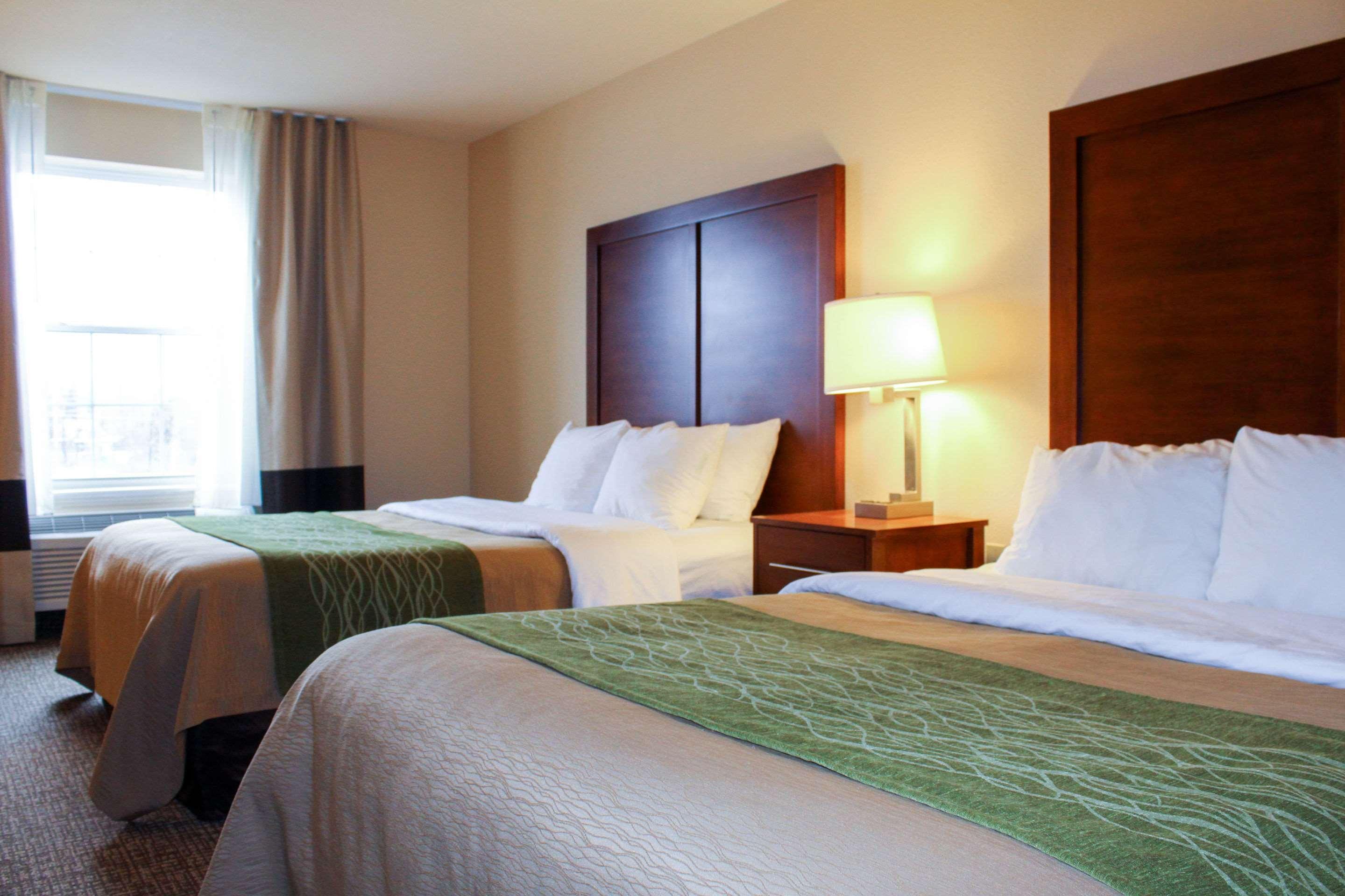 Comfort Inn & Suites St Louis - Честерфілд Екстер'єр фото