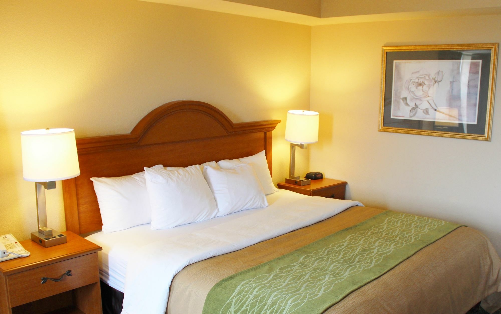 Comfort Inn & Suites St Louis - Честерфілд Екстер'єр фото